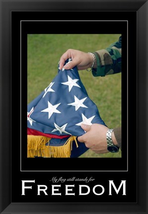 Framed Freedom Affirmation Poster, USAF Print