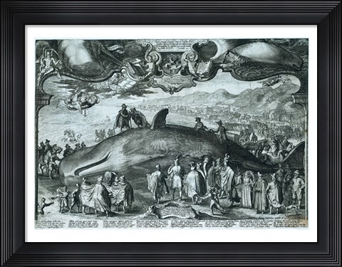 Framed Beached wale near Beverwijk Print