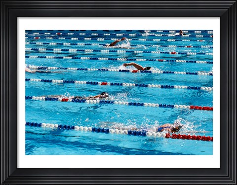 Framed High angle view of people swimming in a swimming pool, International Swimming Hall of Fame, Fort Lauderdale, Florida, USA Print