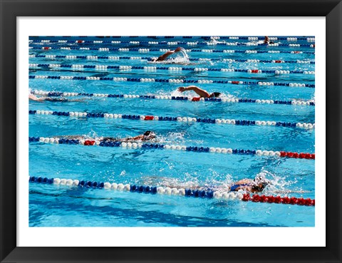 Framed High angle view of people swimming in a swimming pool, International Swimming Hall of Fame, Fort Lauderdale, Florida, USA Print