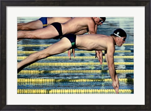 Framed Side profile of three swimmers jumping into a swimming pool Print