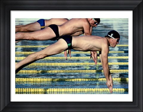 Framed Side profile of three swimmers jumping into a swimming pool Print