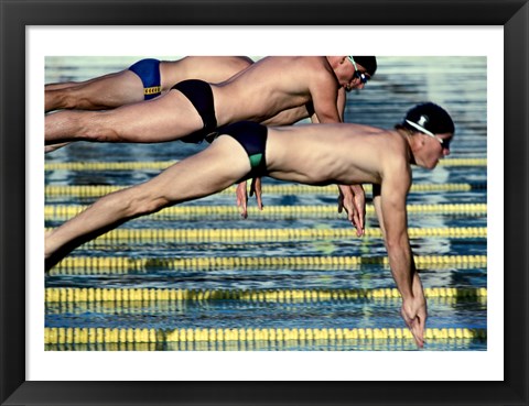 Framed Side profile of three swimmers jumping into a swimming pool Print