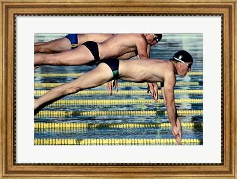 Framed Side profile of three swimmers jumping into a swimming pool Print