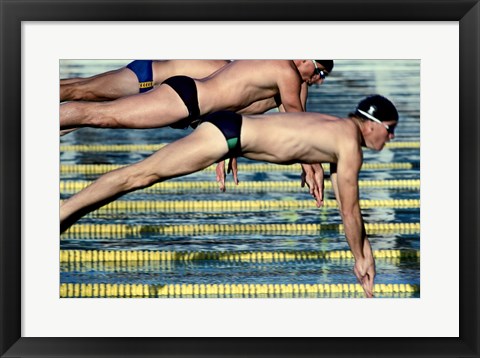 Framed Side profile of three swimmers jumping into a swimming pool Print