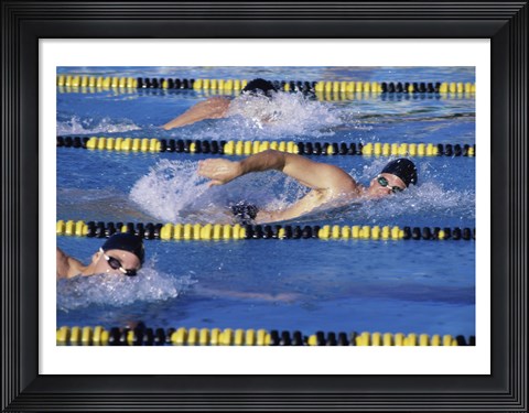 Framed Three swimmers racing in a swimming pool Print