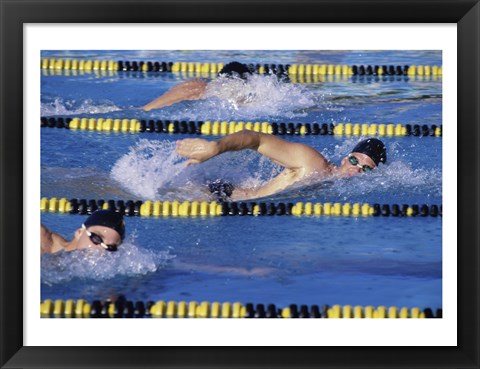 Framed Three swimmers racing in a swimming pool Print