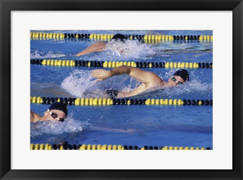 Framed Three swimmers racing in a swimming pool Print