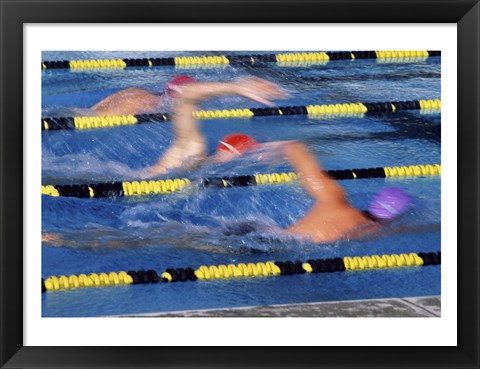 Framed Rear view of three swimmers racing in a swimming pool Print