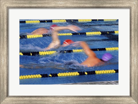 Framed Rear view of three swimmers racing in a swimming pool Print