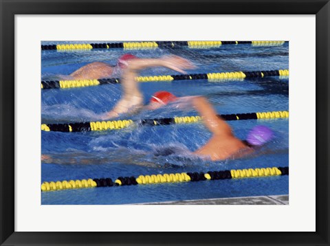 Framed Rear view of three swimmers racing in a swimming pool Print