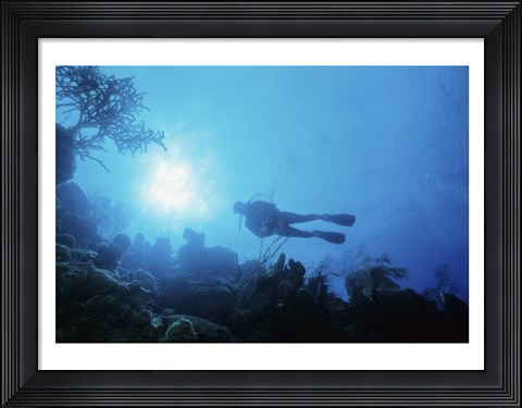 Framed Low angle view of a scuba diver swimming underwater, Belize Print