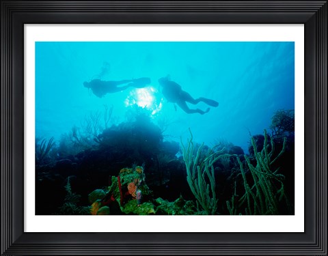 Framed Low angle view of two scuba divers swimming underwater, Belize Print