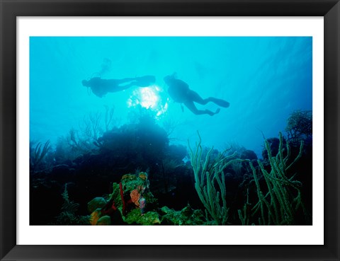 Framed Low angle view of two scuba divers swimming underwater, Belize Print