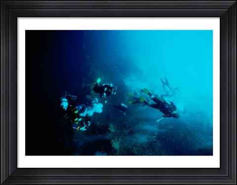 Framed Five scuba divers swimming underwater, Blue Hole, Belize Print