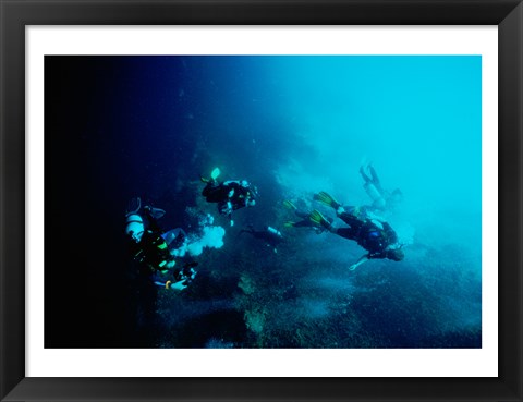 Framed Five scuba divers swimming underwater, Blue Hole, Belize Print