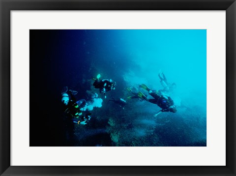 Framed Five scuba divers swimming underwater, Blue Hole, Belize Print