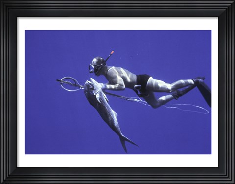 Framed Diver With Dorado fish Cape San Lucas Mexico Print