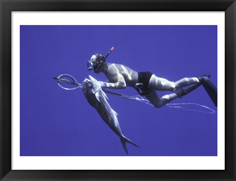 Framed Diver With Dorado fish Cape San Lucas Mexico Print