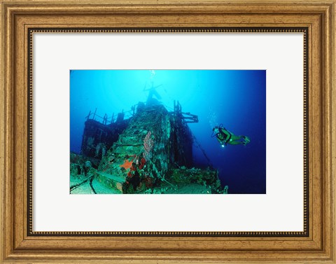 Framed Scuba diver watching a shipwreck underwater Print