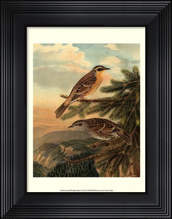 Framed Small Woodland Birds I Print