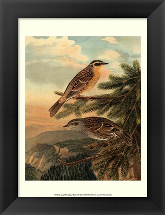 Framed Small Woodland Birds I Print