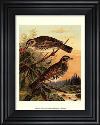 Framed Small Woodland Birds II Print
