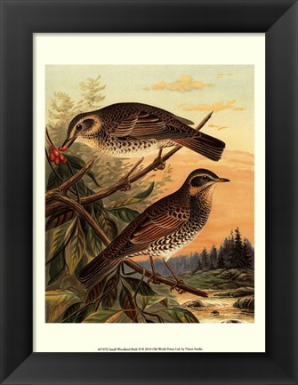Framed Small Woodland Birds II Print