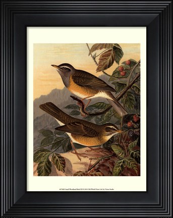 Framed Small Woodland Birds III Print