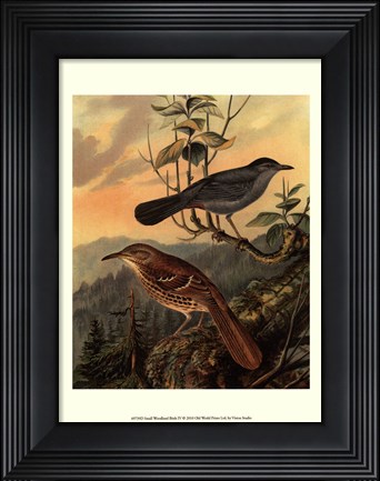 Framed Small Woodland Birds IV Print