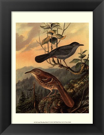 Framed Small Woodland Birds IV Print