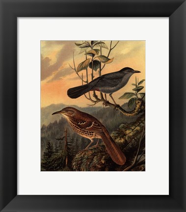 Framed Small Woodland Birds IV Print