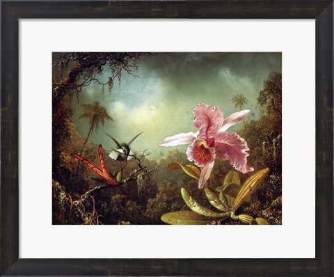 Framed Orchid with Two Hummingbirds 1871 Print