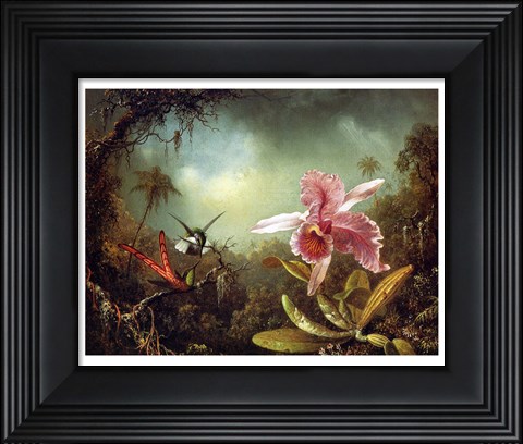 Framed Orchid with Two Hummingbirds 1871 Print