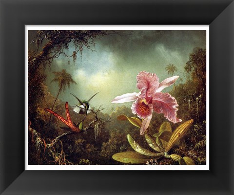 Framed Orchid with Two Hummingbirds 1871 Print