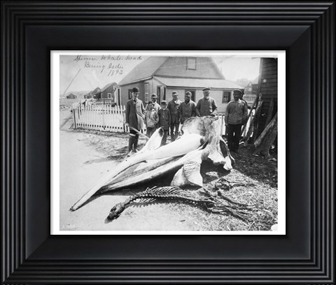 Framed Sperm Whale Head Print
