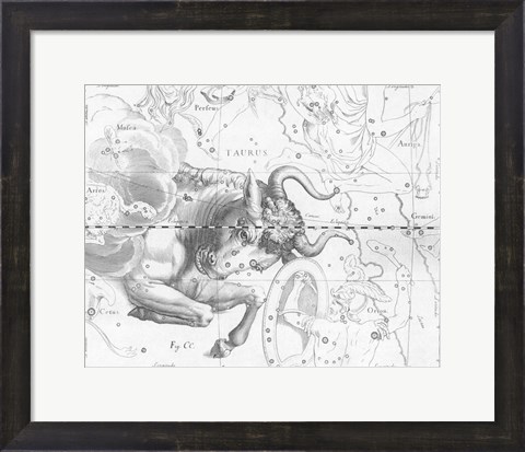 Framed Taurus by Johannes Hevelius Print