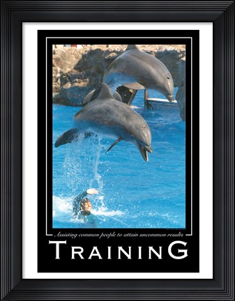 Framed Training Affirmation Poster, USAF Print