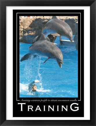 Framed Training Affirmation Poster, USAF Print
