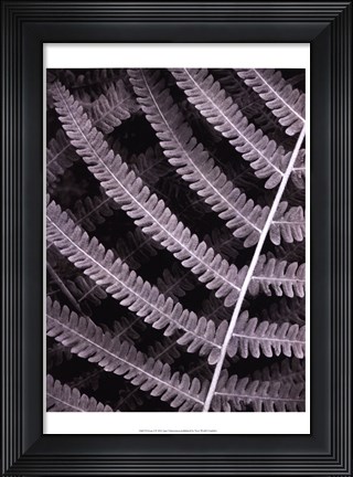 Framed Fern I Print