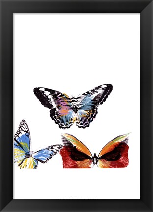 Framed Butterflies Dance II Print