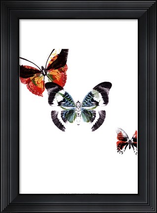 Framed Butterflies Dance III Print
