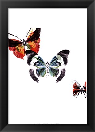 Framed Butterflies Dance III Print