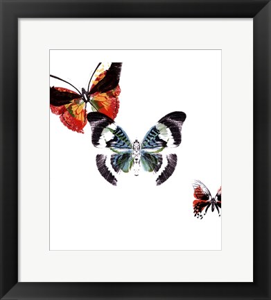 Framed Butterflies Dance III Print