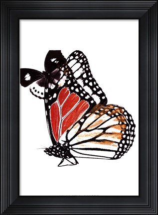 Framed Butterflies Dance IV Print