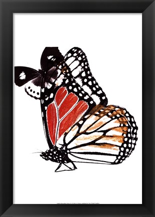 Framed Butterflies Dance IV Print