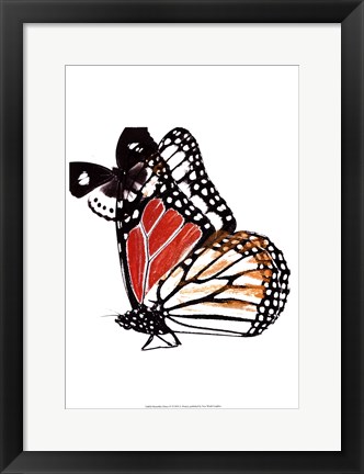 Framed Butterflies Dance IV Print