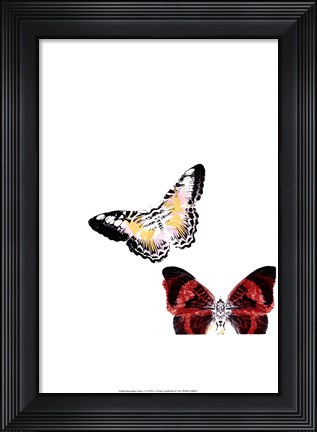 Framed Butterflies Dance V Print