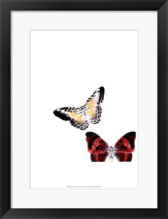 Framed Butterflies Dance V Print