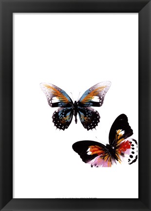 Framed Butterflies Dance VI Print